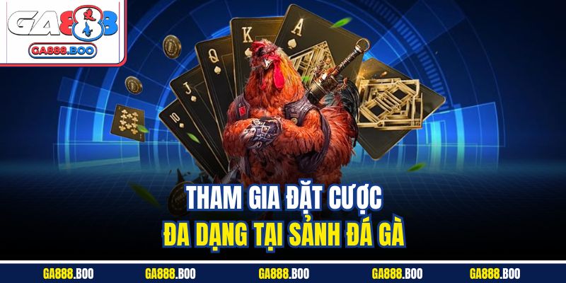 Tham gia đặt cược đa dạng tại sảnh đá gà 