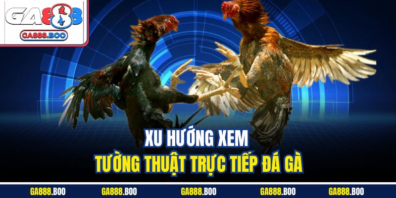 Tường Thuật Trực Tiếp Đá Gà - Tận Hưởng Không Khí Sôi Động 2 Xu hướng xem tường thuật trực tiếp đá gà